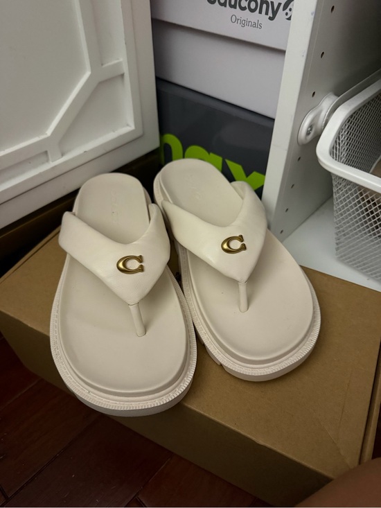 Coach Shoes - Coach Brynn Chalk Thong Sandals with Gold C Accent